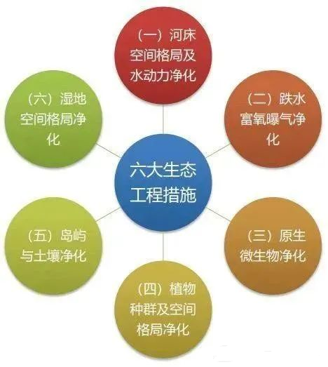 微生物對(duì)水環(huán)境環(huán)境的生物修復(fù)作用